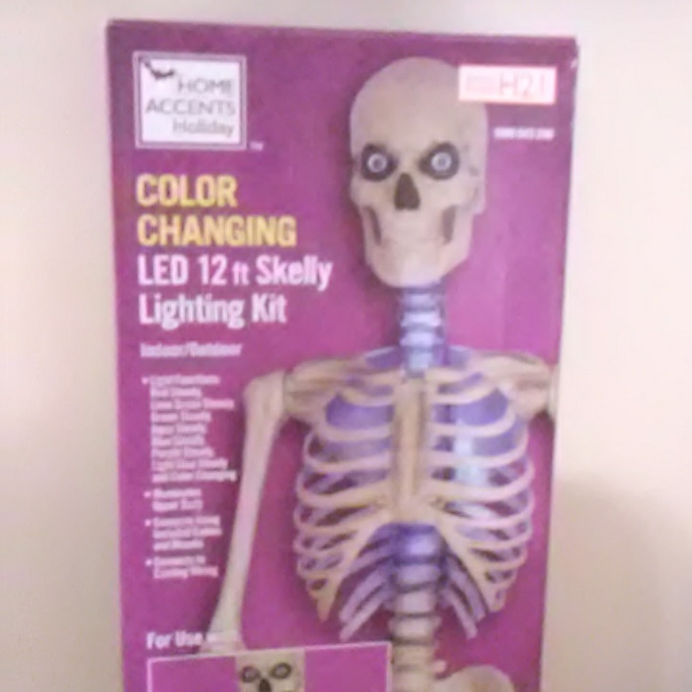 LED Skelly Lighting Kit with Color Changing Feature